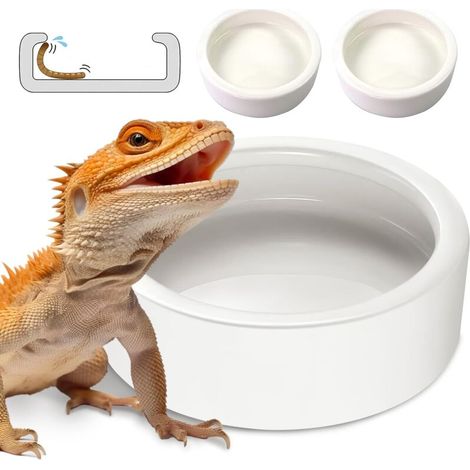 Reptilienschale, kleine Insektenwasserschale (7 cm), Keramikschale für Eidechsen, Geckos, Leopardenagamen, Chamäleons, Einsiedlerkrebse, Dobie-Grillen und Insektenfuttertiere