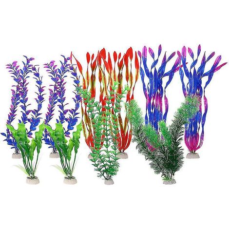 10 grandes plantes d'aquarium (1/3)