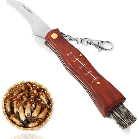 Pilzmesser mit Bürste, Klappbar, Holzgriff, Outdoor & Geschenk für Sammler