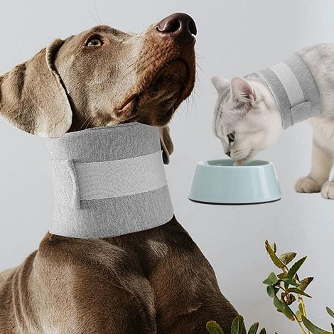 Collare protettivo e cono per cani, collare per animali domestici, collare di recupero regolabile per cuccioli e gatti dopo un intervento chirurgico o un infortunio - M (1/2)