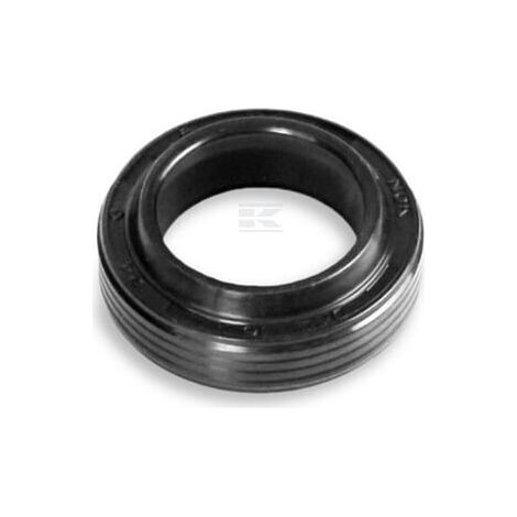Anello sfere KÄRCHER 63650010 (1/2)