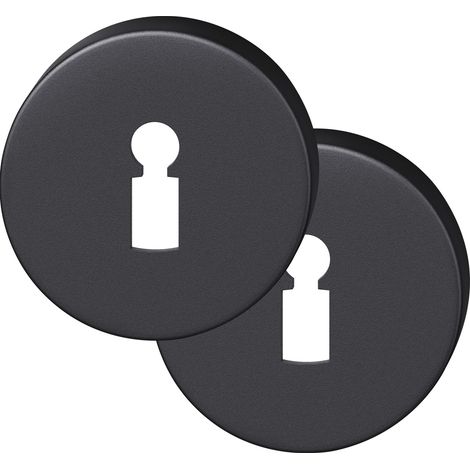 FSB Rosette BB rund - Buntbartrosette 12173500002 - Lochung BB, Aluminium schwarz matt - 1 Paar
