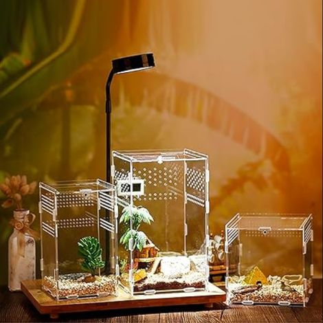 Boîte à Nourrir en pour Reptiles, Ensemble de récipient en acrylique d'insecte, Habitat Portable pour et Amphibiens, adapté aux araignées, lézards, Grenouilles, grillons,121220cm (1/5)