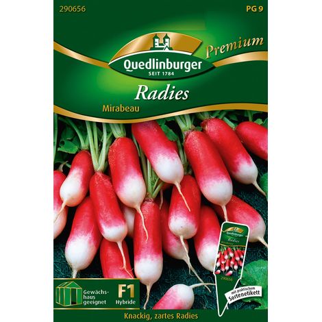 Quedlinburger Saatgut – Radis Mirabeau – Graines de légumes, type Flamboyant, racines allongées rouges à pointe blanche (1/2)