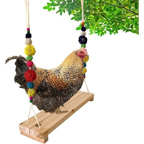 1 Support en Bois Naturel, Jouet Balançoire Suspendu, Perchoir d'Entraînement, pour Poules et Oiseaux (1/5)