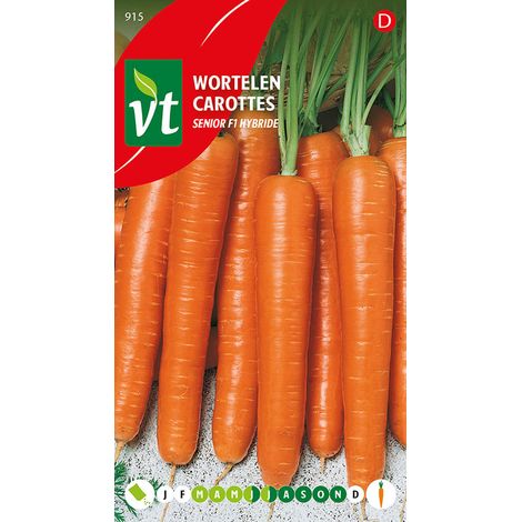 Carottes Senior F1 Hybride - Ca. 2 gr (Livraison Gratuite) (1/2)