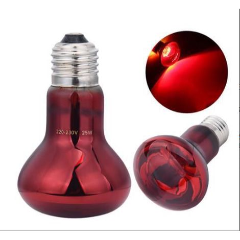 Kit de lampe chauffante pour reptiles - Lampe chauffante pour tortues, lézards et poules (1/3)