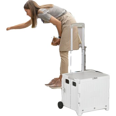 Carrito de la compra, construcción ligera, capacidad de carga de 80 kg, capacidad de almacenamiento de 32 litros, asa telescópica ajustable, dimensiones 41,5 x 32,5 x 85 cm. (1/5)