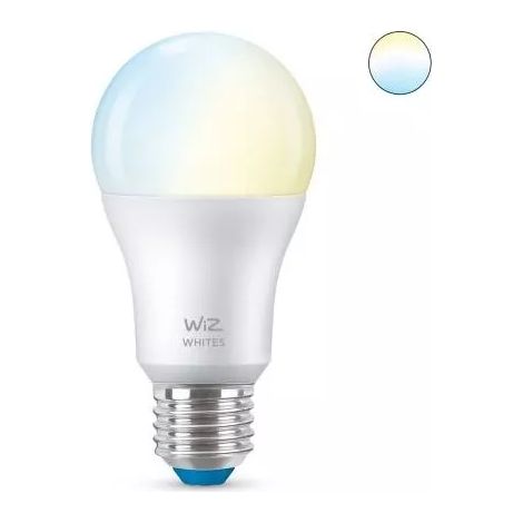 lampadina smart philips smart led a60, 806 lm (1/3)