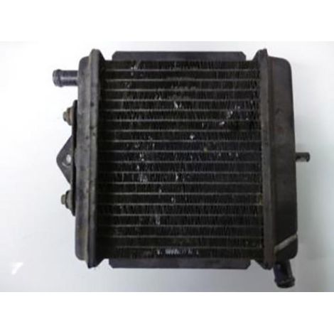 [PRODUIT D'OCCASION] Radiateur de refroidissement origine pour moto Aprilia 50 RS (1/2)