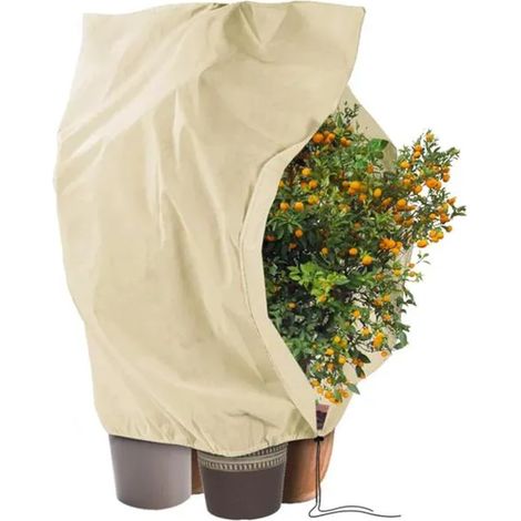 Voile Hivernage Plante Exterieur 240 x 200 cm, 80 g/m² Tissu Non Tissé, Housse Hivernage Plante Exterieur, Protection Plantes Hiver (1/5)