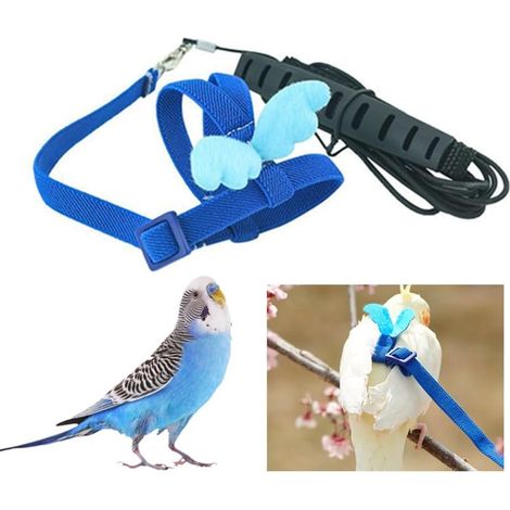 1 Laisse,Oiseau,Corde,Réglable,Harnais,Plastique,Bleu,Extérieur,Dressage (1/4)