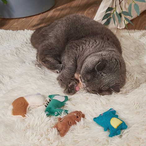 Jouet en peluche à l'herbe à chat - Jouet pour chat en forme de maïs (1/5)