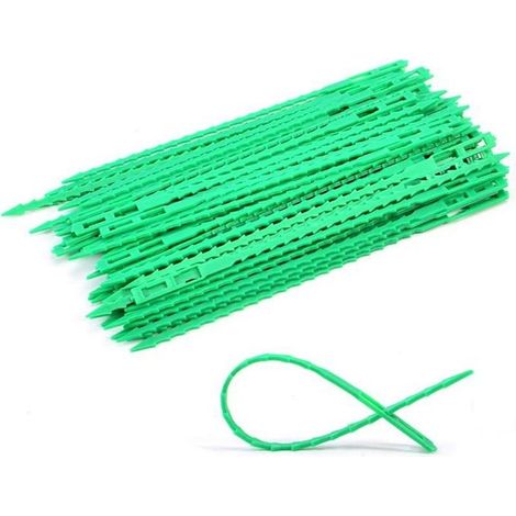 80 Tomatenpflanzenstützen, verstellbare, grüne, flexible Kunststoffbänder, 17 cm, zur Unterstützung von Pflanzen in Gewächshäusern, Gärten oder auf Balkonen (1/5)