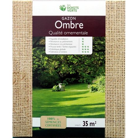 Césped de sombra Semilla pura 1kg