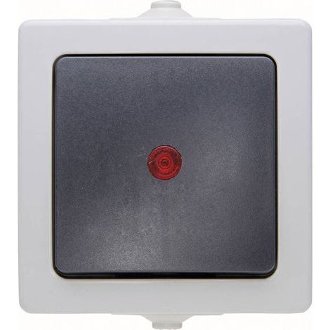 Kopp 566656002 Interruttore per ambienti umidi Interruttore di controllo Nautic Grigio 1 pz. (1/3)