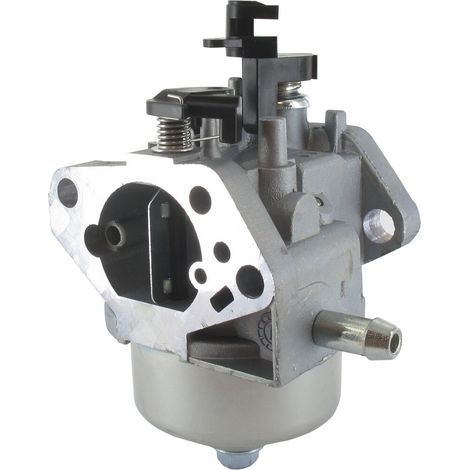 Carburador GGP - CASTELGARDEN 118550763/1