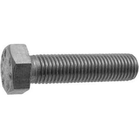 BULLONE T.E. INOX 8x50 Q.TA 100