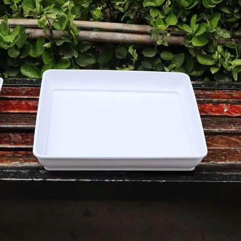 Jardinière en plastique blanc, 30 x 30 cm, soucoupe carrée, bac à fleurs adapté à une utilisation intérieure et extérieure, lot de 2 (1/3)