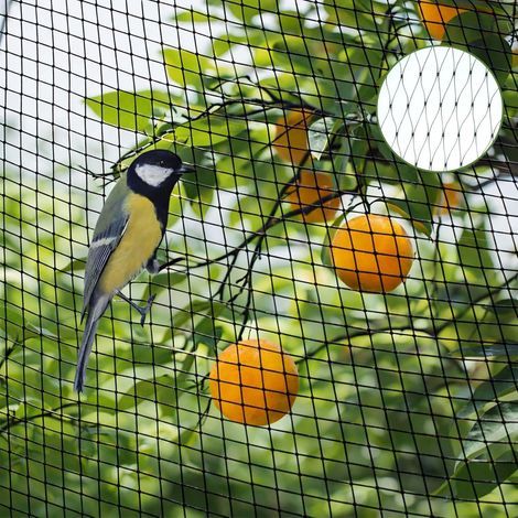 CCYKXA Bird netting, 4x10m garden netting, anti-pigeon netting, protective netting, vegetable garden netting, protects plants, vegetables, and fruit
