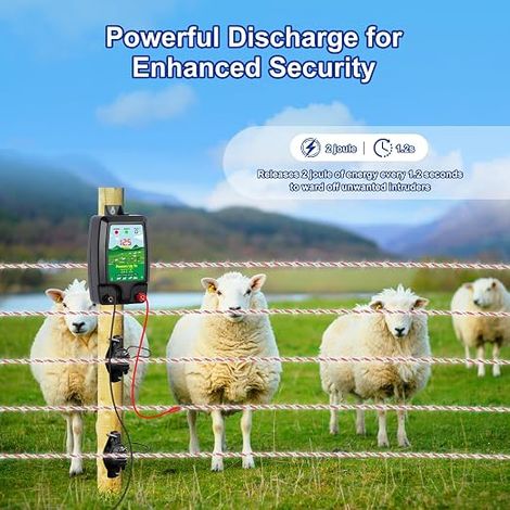 Clôture électrique, Clôture électrique pour bétail, Animaux, Électrificateur de clôture électrique (1/4)