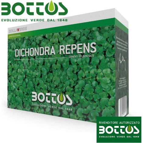 Dichondra Repens - Sementi per prato da 1 kg