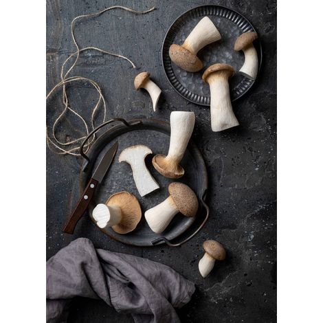 Tableau sur toile champignons 30x45 cm - Impression sur Toile Murale Décorative - Image imprimée en HD sur Toile - Toile sur Châssis en Bois FSC - Fabriqué en France (1/5)