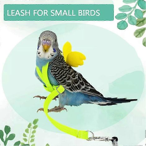 Verstellbares Flügelgeschirr mit Leine für kleine Vögel, Flugtraining im Freien, geeignet für Papageien und Tauben, Komplettset, komfortabel und sicher. (1/5)