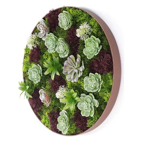 Cadre mural plantes artificielles succulentes rond (1/4)