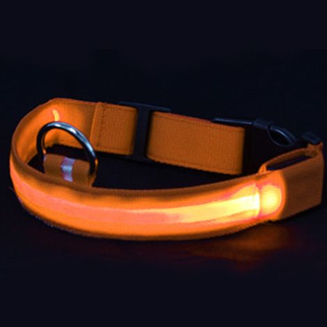 Collier lumineux LED pour chien, rechargeable par USB – Collier lumineux haute visibilité pour les promenades nocturnes de votre animal. (1/5)