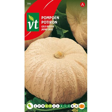 Potiron Jaune Gros - Ca. 3 gr (Livraison Gratuite) (1/2)