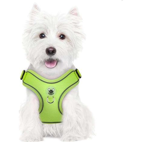 Hundegeschirr mit Leine zum Spazierengehen, reflektierend, verstellbar, weich, Größe M, Grün