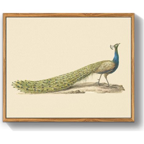Vintage Vogel Leinwandbild mit Holzrahmen 30x40cm Wanddekoration Blauer Pfau (1/5)