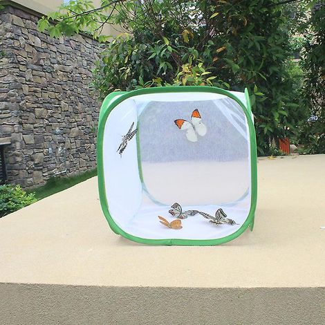 Cage pliable en maille pour insectes et semis, 30 x 30 x 30 cm (1 pièce). (1/5)