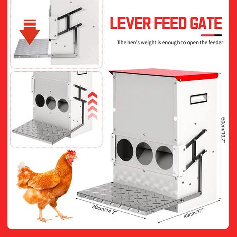 Mangeoire automatique pour poules en métal avec pédale d'ouverture, distributeur de nourriture anti-nuisibles pour volaille, capacité optimisée pour basse-cour