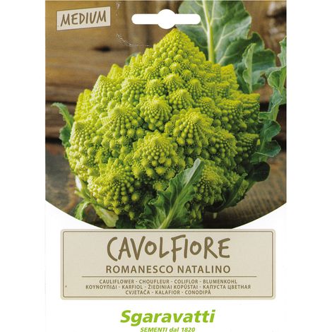 SEMI PER ORTAGGI E VEGETALI cavolfiore romanesco natalino Q.TA 20 cavolfiore romanesco natalino