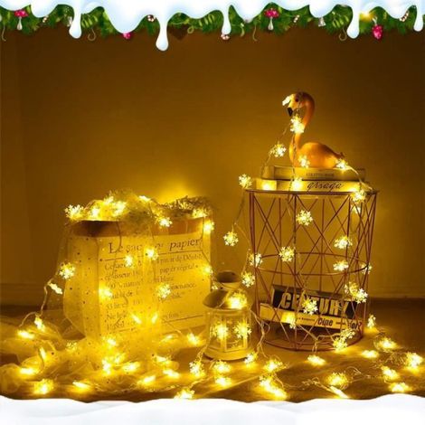 Guirlande Lumineuse - 6 M - 40 Led - Blanc Chaud - Intérieur - 1 Pièce (1/4)