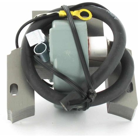 Bobine d'allumage BRIGGS ET STRATTON 298502 - 395488 - 697036 (1/3)