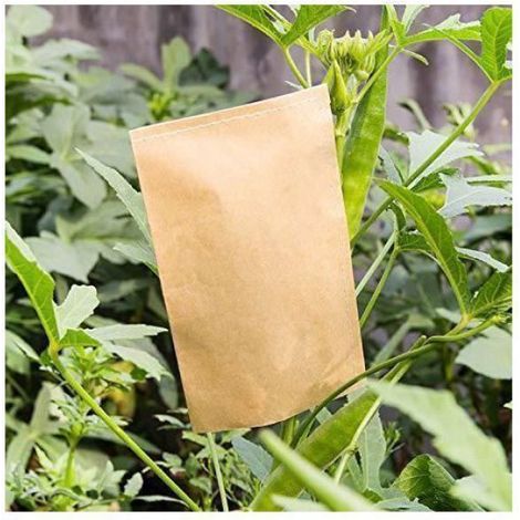 Lot de 50Pochette Kraft Graines Sachet Sac Mini Enveloppe en Kraft Vintage Papier pour Semences Graines Bonbon Bi POCHETTE CADEAU (1/4)