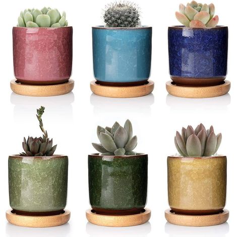 Ensemble de 6 pots ronds en céramique pour plantes succulentes avec dessous de plat en bambou (1/5)