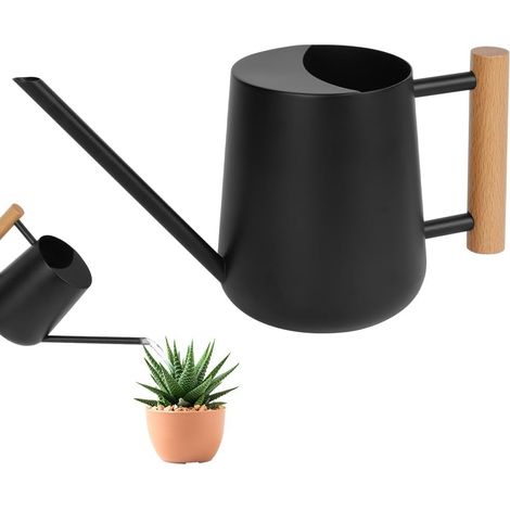 1 Arrosoir, Bec Long, Acier Inoxydable, 1L, Poignée Bois, Plantes Intérieur Extérieur (1/5)