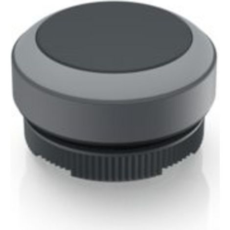 RAFI 1.30.270.001/0108 RAFIX 22 FS Drucktaster tastend (L x B x H) 29.8 x 29.8 x 18.5 mm 1 St.