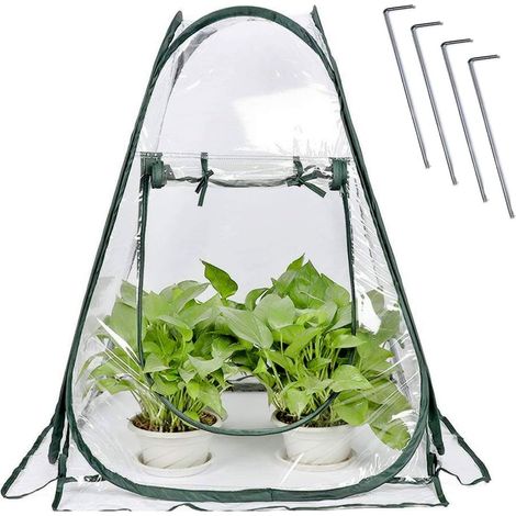 Tente d'hiver pour petites plantes à effet de serre, petite serre escamotable, protection hivernale, transparente (1/5)