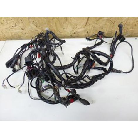 [PRODUIT D'OCCASION] Faisceau électrique origine pour scooter Piaggio 125 X EVO 2009 (1/4)