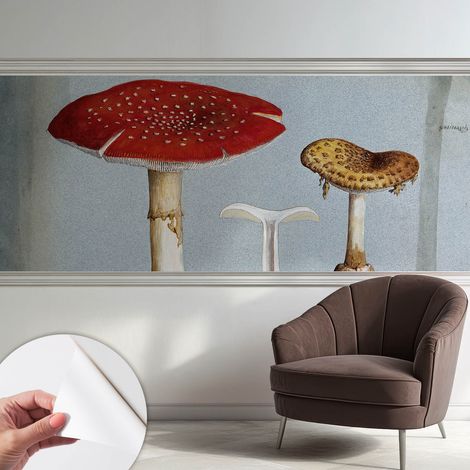 Papier peint autocollant adhésif avec imprimé motifs uniques apparence moderne Gravures de champignons 250x104 cm (1/5)