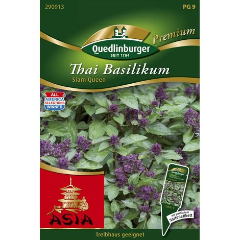 Quedlinburger Saatgut – Basilic thaï « Siam Queen » – Graines d'herbes aromatiques, culture en pot et sur balcon (1/2)