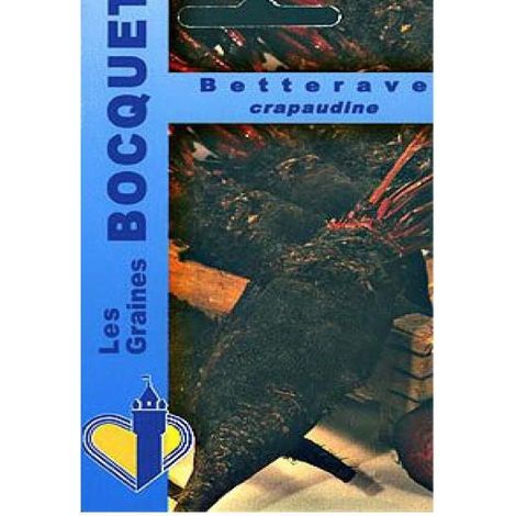 Betteravec rouge 'Crapaudine' le sachet de 250 graines (6g)