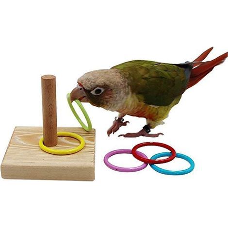 Jouet D'Anneau D'entraînement D'oiseau, Anneau Interactif D'empilage de Tour de Perroquet avec Le Jouet éducatif de Table D'oiseau de Base pour Les Petits Oiseaux Moyens. (1/5)