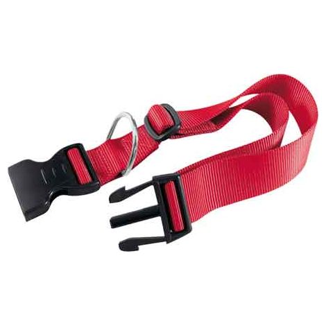 COLLARE PER CANI 'CLUB C' 10 mm x 23÷32 cm - FERPLAST