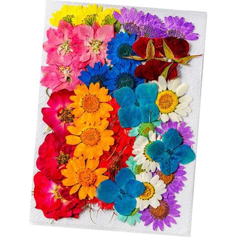 36 fleurs séchées de styles et couleurs assortis, en matière naturelle. Fleurs séchées polyvalentes pour la décoration et le bricolage. (1/5)